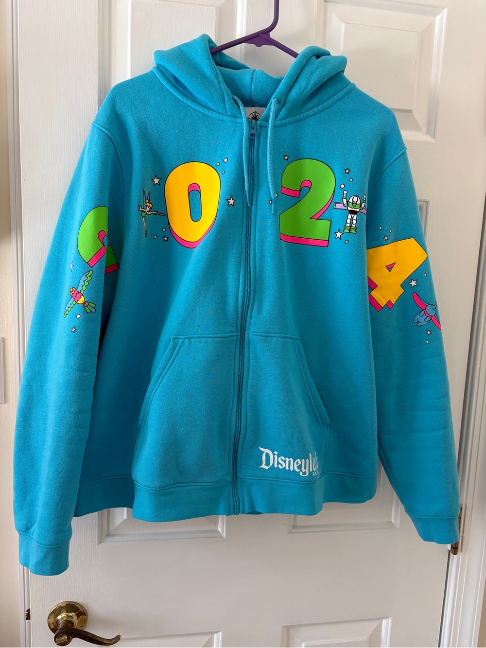 Disney Teal 2024 Graphic Zip-Up Hoodie